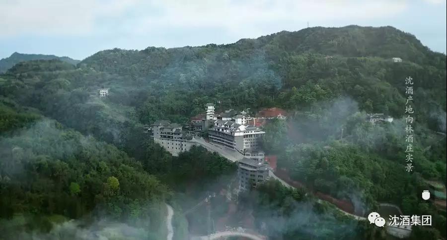 1563937844105237.jpg 微信圖片_20190724110704.jpg