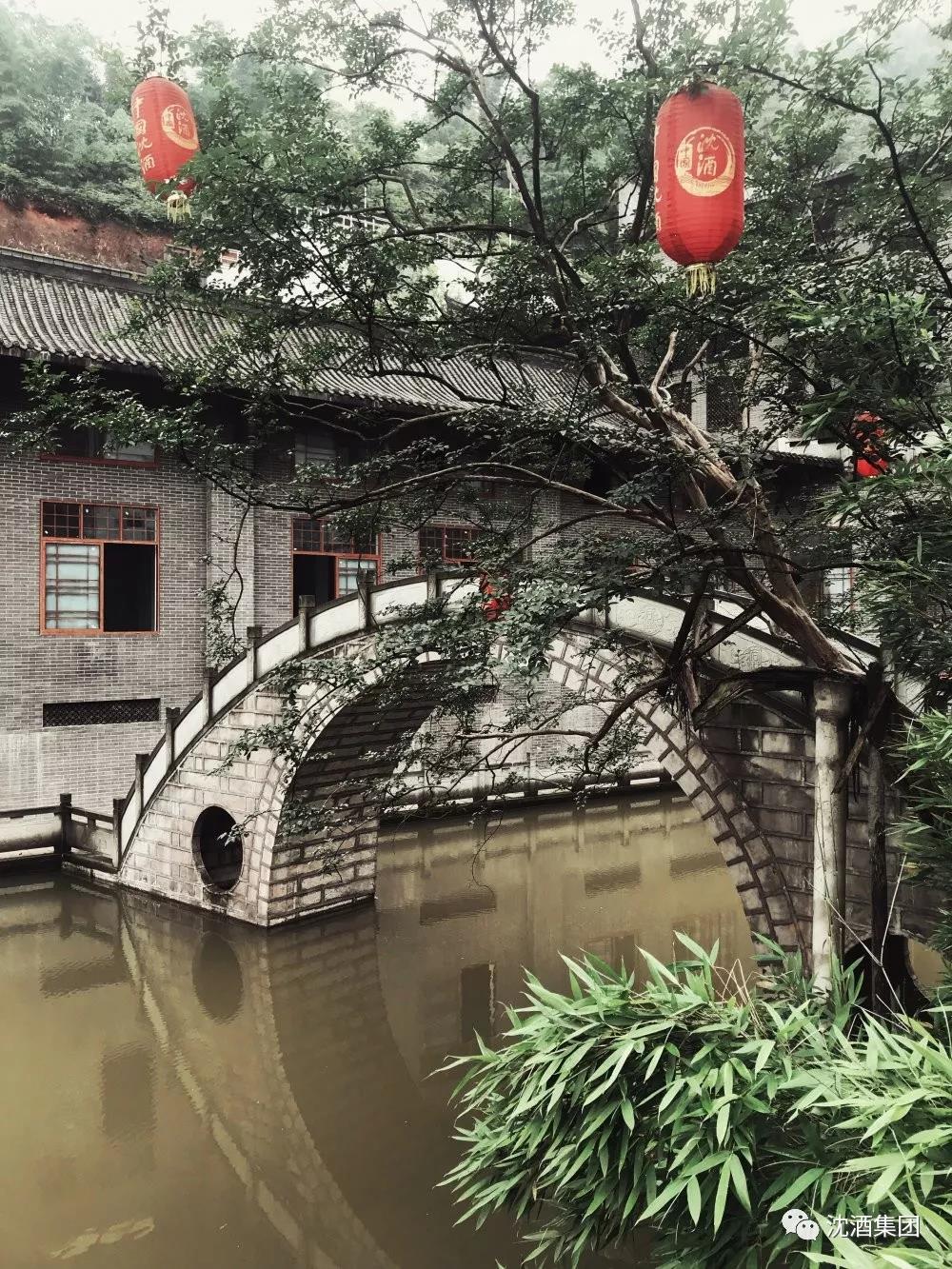 1563937873121932.jpg 微信圖片_20190724110726.jpg